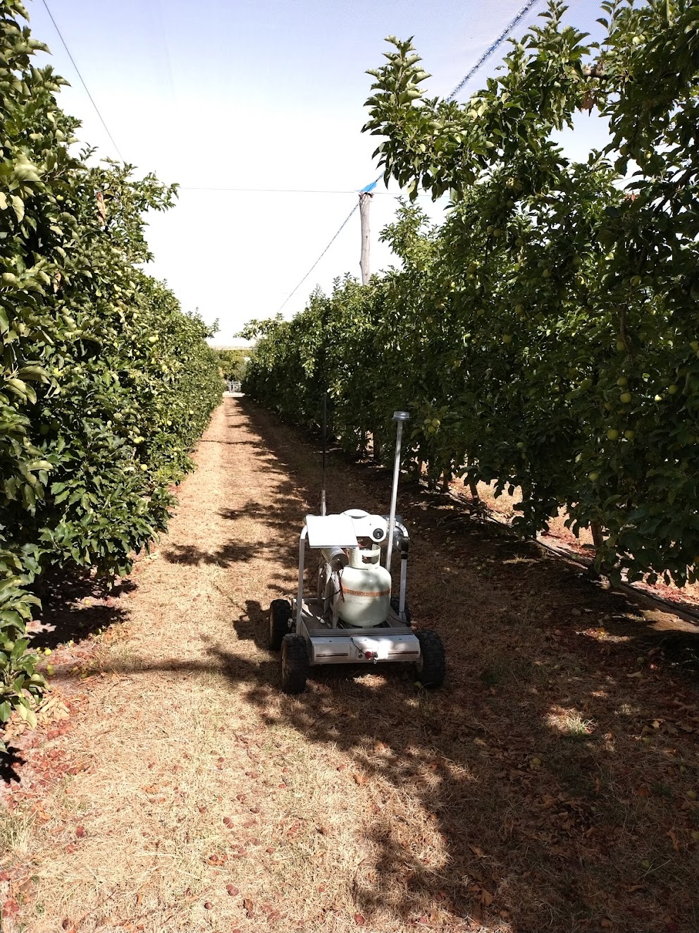Starlink-equipped operations at Harcourt